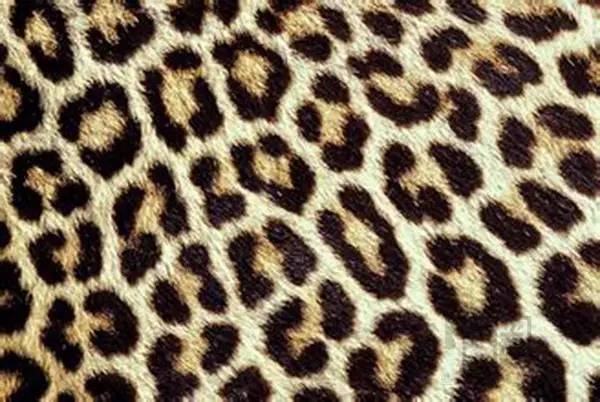 这个情人节，不做男朋友的乖乖女，只做自己的酷girl！