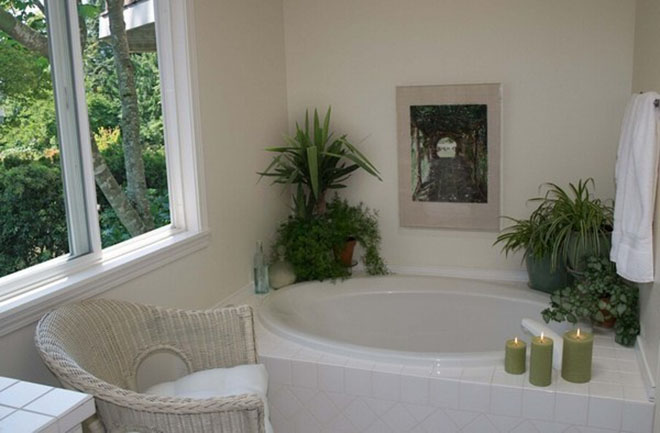 厕所异味放点什么植物,什么植物能吸收厕所的臭气