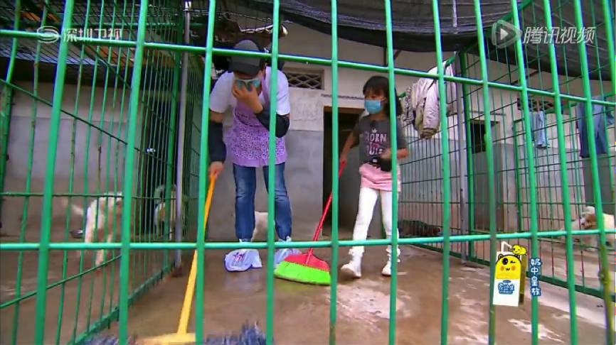 闪亮的爸爸近况,闪亮的爸爸正片