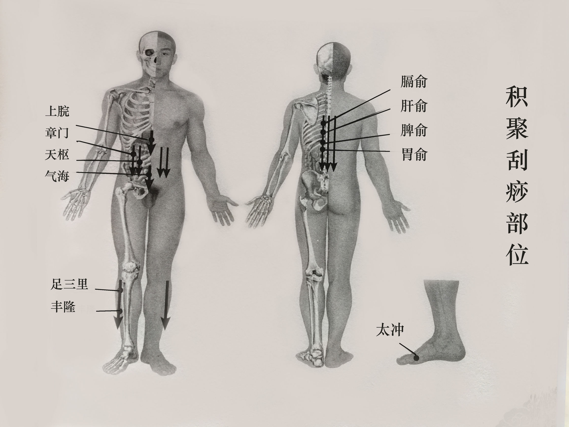 胁痛吃什么药可以治疗,胁痛一招解决
