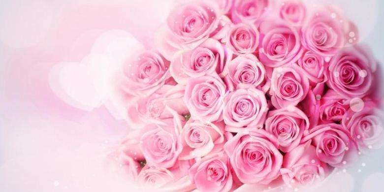 情人节送自己的玫瑰花语,情人节玫瑰花语和图片大全