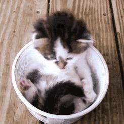 情人节不想收到假礼物,情人节一定要送这个礼物给男朋友