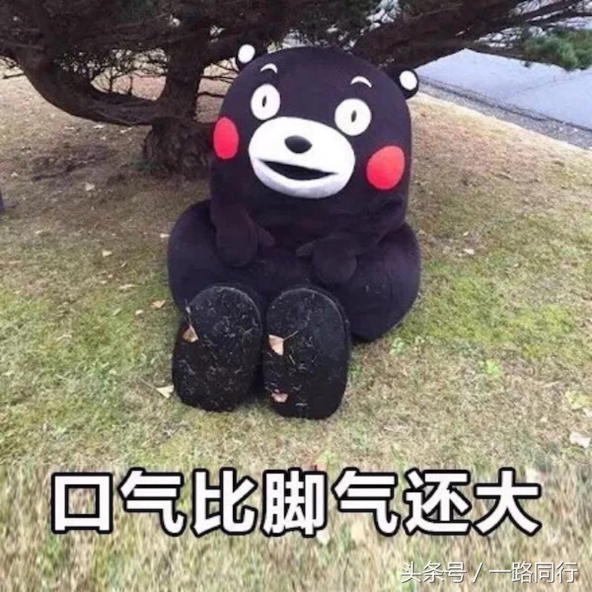 旅游如何做到互相尊重,旅游被区别对待