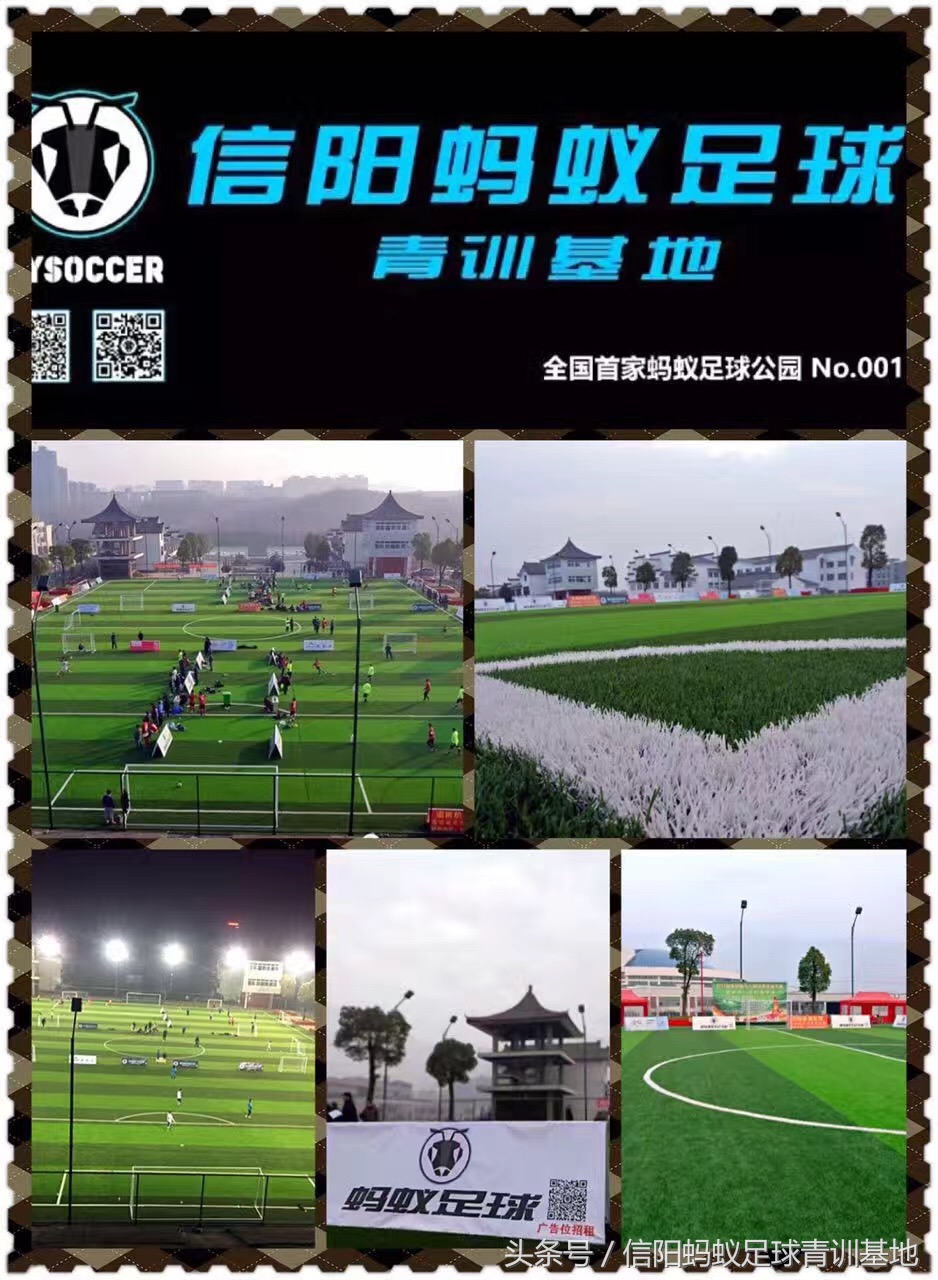 信阳蚂蚁足球俱乐部,河南信阳蚂蚁足球俱乐部有限公司