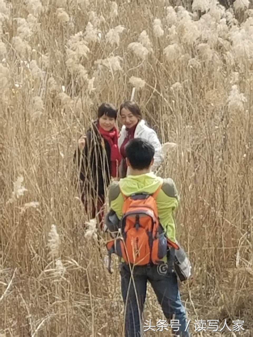 赵正禄专栏|春天外面阳光明媚,我就去徒步