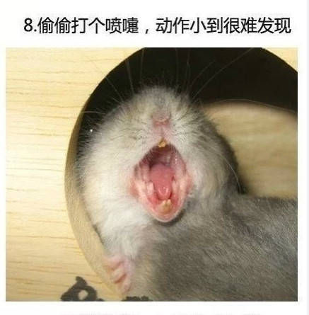 男子买错机票班次改签,男子误抢特价机票后退票