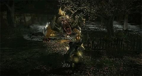 ps4仁王忍者流,PS4仁王选哪个