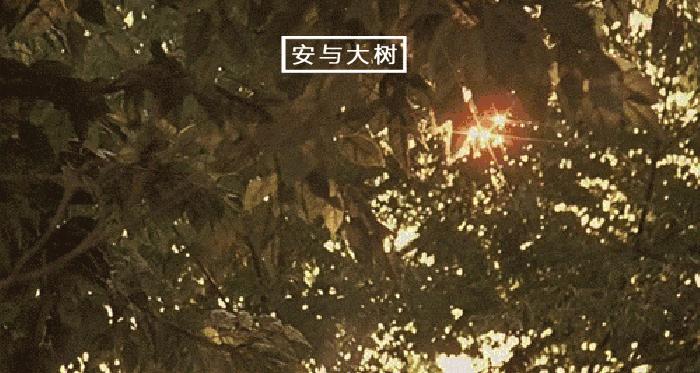 分手后还想着前男友怎么办,分手后还想着前任怎么办