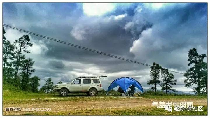 贺岁心得，我和帕拉丁，不得不说的故事！