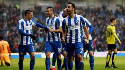 纽卡斯尔vs布莱顿单场胜负预测,k球专家英超前瞻布莱顿vs纽卡斯尔