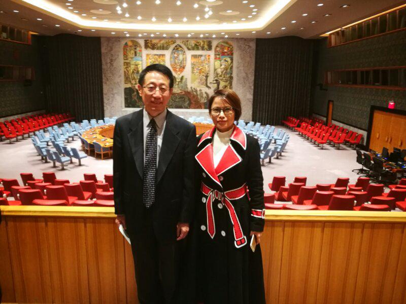 中国刺绣向联合国申遗了没,向世界展示中国美学