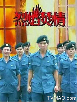 新加坡老电视剧推荐经典,近二十年新加坡经典电视剧