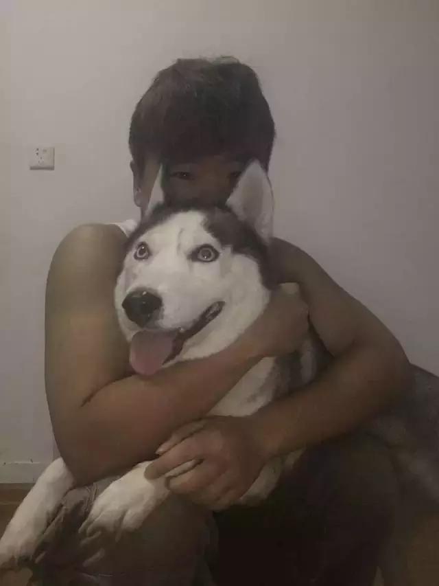 长沙人爱养什么品种的鸟,长沙人为什么喜欢养乌龟