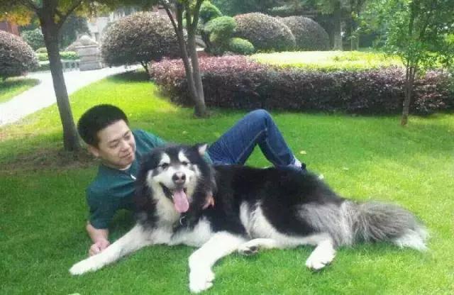 长沙人爱养什么品种的鸟,长沙人为什么喜欢养乌龟