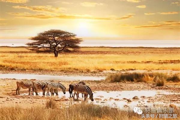 全球最具吸引力的狩猎圣地，加入高人一等的国际猎人组织！