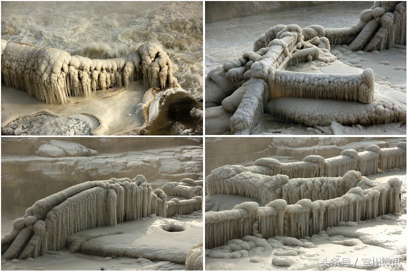 延安赵洁,宜川赵洁抖音