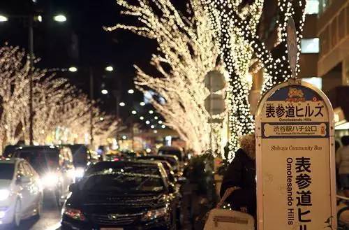 樱花短途旅行包大容量,樱花三月去踏青加长版