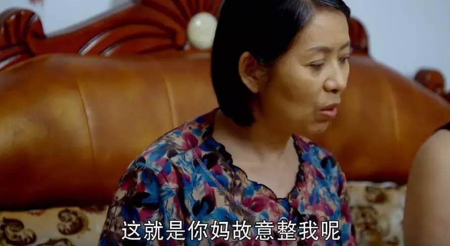 会说话的刘能,盘点刘能说话有多逗