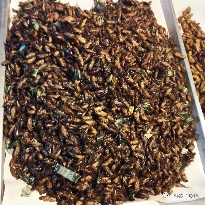 能在异国被警察抓也没谁了吧？这是我的清迈，和你去的不一样！