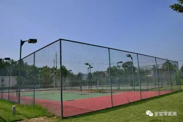 虐狗秀恩爱名场面,虐狗秀恩爱高甜视频