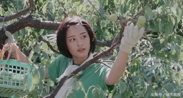 常用玻璃罐,玻璃罐哪里用的多