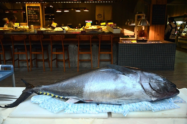 厦门美食鱼旨寿司,鱼旨精致料理和鱼旨寿司