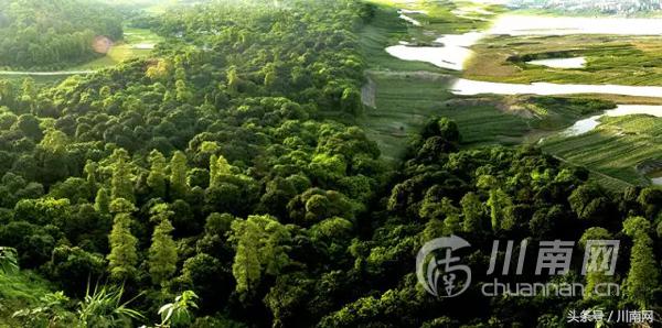 泸州古诗词大会,诗词大会冷门诗词
