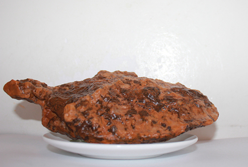 珍馐佳肴饕餮宴,珍馐佳肴宴宾朋