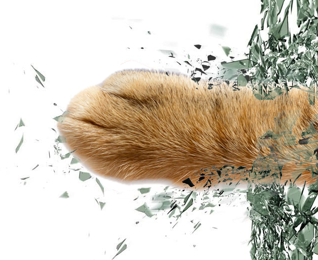 回收奶粉空桶10元一个,奶粉店回收奶粉罐是怎么回事