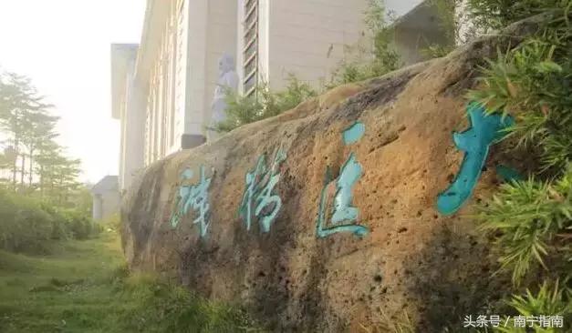 广西中医药大学值得上吗,广西大学最新事件