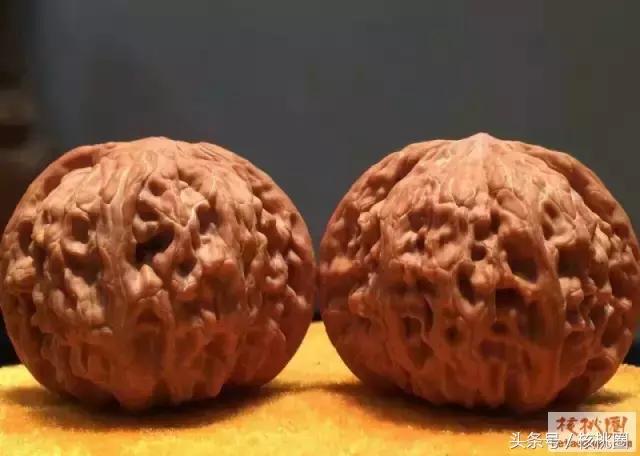 圆润的磨盘狮子头,文玩核桃磨盘狮子头有什么特征