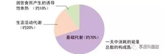 怎么突破减肥的平台期,减肥遇到平台期不掉秤怎么办