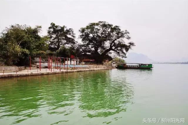 柳州附近农庄适合小孩玩,柳州周边农庄场地推荐