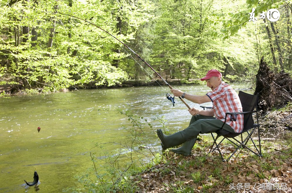 鲤鱼谷物类饵料 (钓鲤鱼谷物香鱼饵推荐)