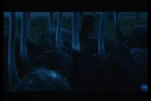 这是你们要的大长腿，备好纸巾，准备上下其手吧