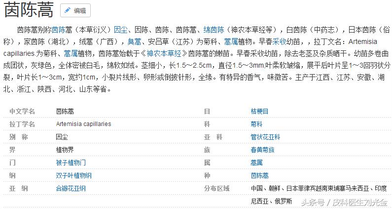 二月茵陈四月蒿包括艾蒿吗,茵陈蒿和青蒿图片