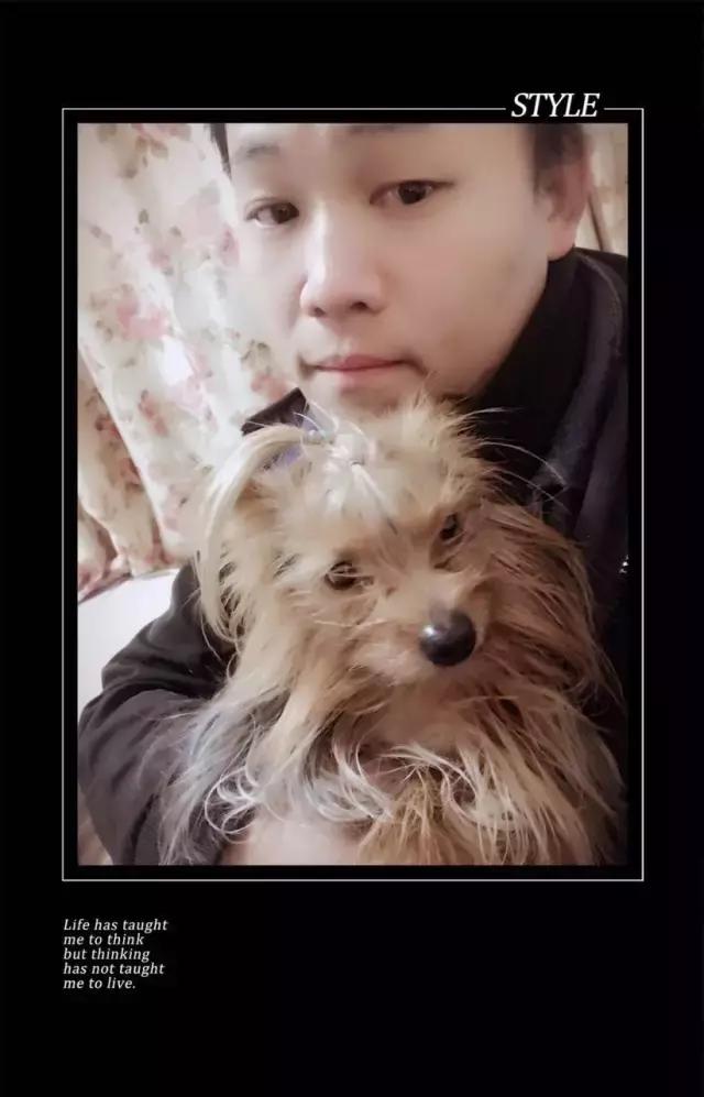 长沙人爱养什么品种的鸟,长沙人为什么喜欢养乌龟