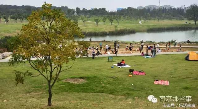 南京踏青赏梅乐享春光,赏梅园