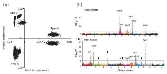 2021年国家重大科技成果,2020中国重大科技成果图片