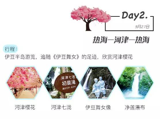 樱花短途旅行包大容量,樱花三月去踏青加长版