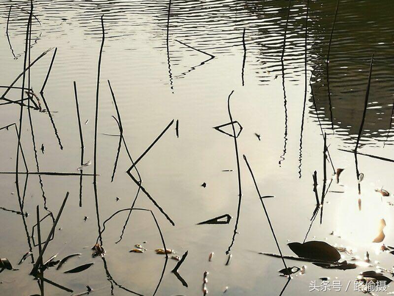 人像摄影液化snapseed,snapseed水墨照片处理