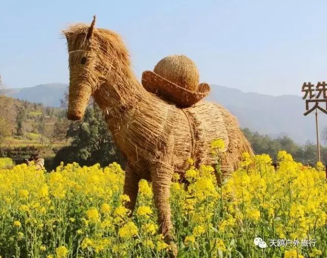 郑州到婺源自由行攻略,郑州去婺源怎么去