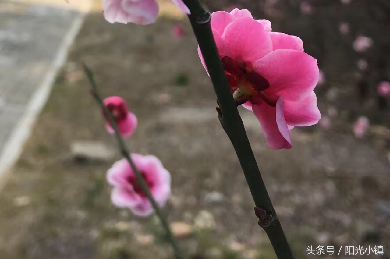 五味杂陈的流年——我艰难的2014年5月