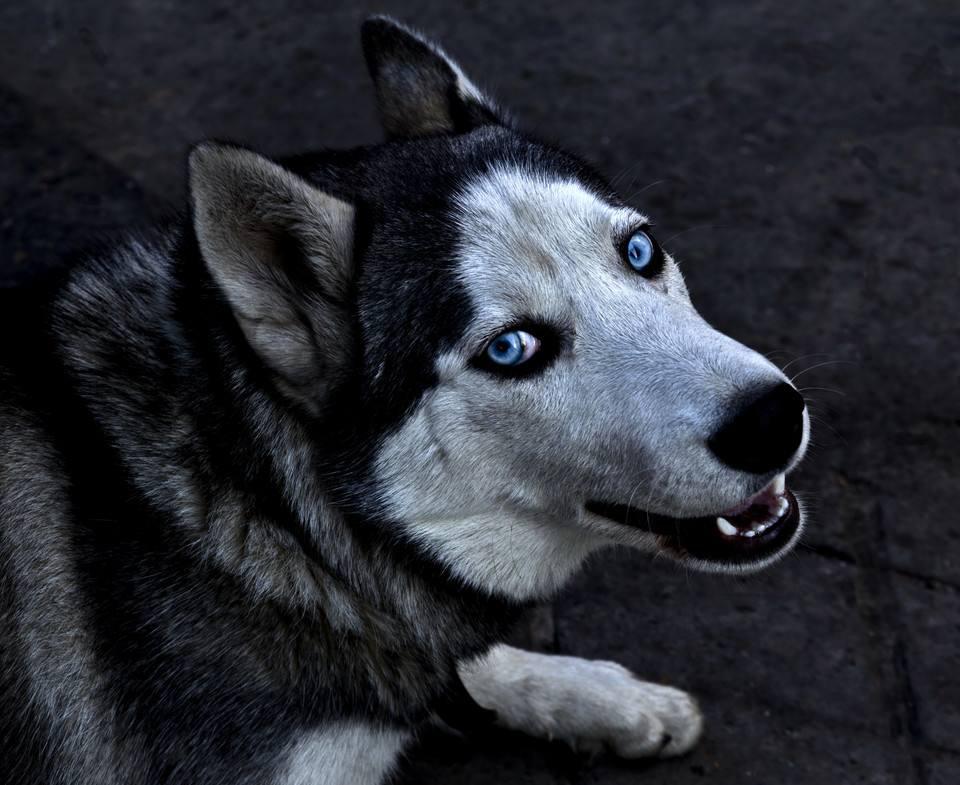 九阴真经2解密,九阴真经二怎么玩