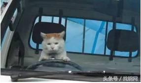 钢材销售员的一天，简直太形象了！笑喷……