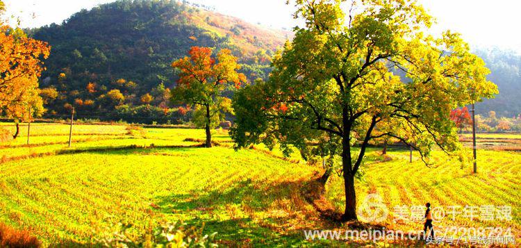 永远的余子店——文/刘宏冰