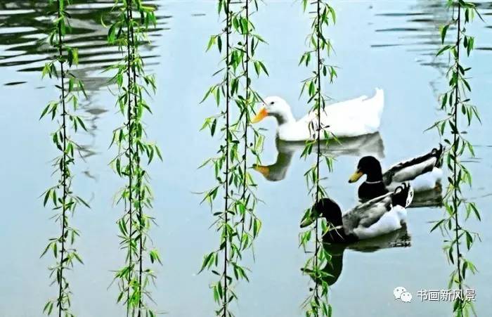 描写春柳春花的古诗词,春柳的诗词有哪些