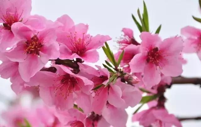 西安市内半日的小众绝佳去处,西安往东好玩儿的景点