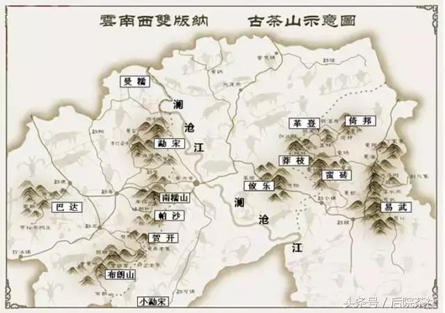 普洱茶鉴赏收藏册,古六大茶山的口感特点