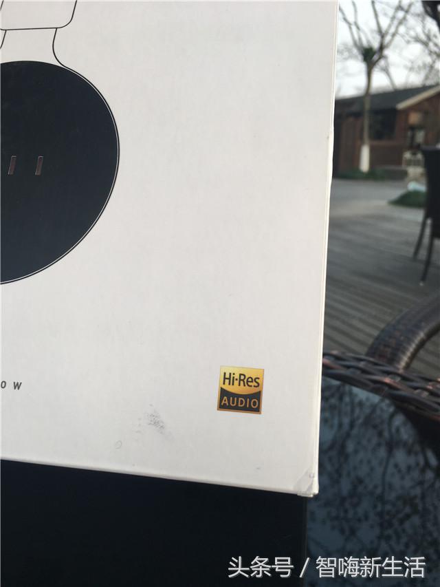 歌姬的狂躁,FIILDIVA无线降噪耳机评测